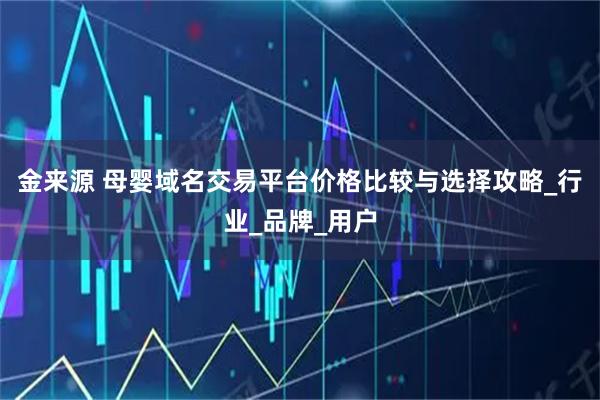 金来源 母婴域名交易平台价格比较与选择攻略_行业_品牌_用户