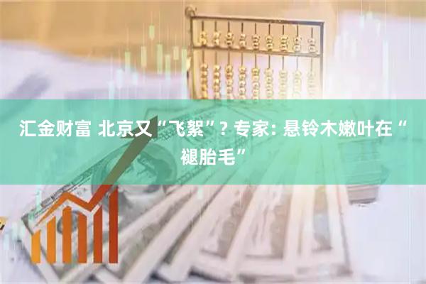 汇金财富 北京又“飞絮”? 专家: 悬铃木嫩叶在“褪胎毛”