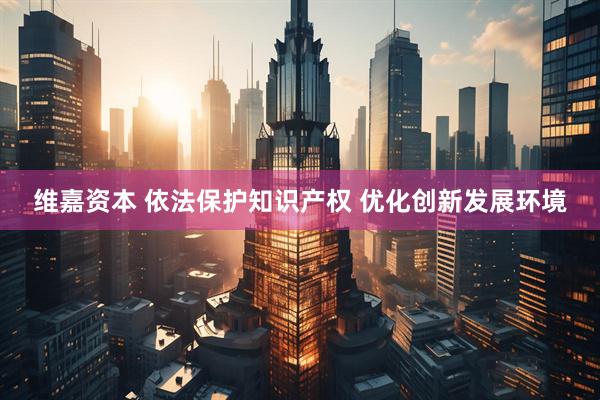 维嘉资本 依法保护知识产权 优化创新发展环境